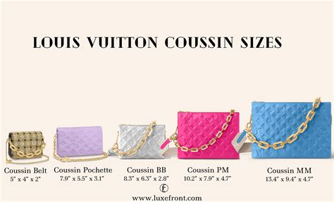 lv coussin bag sizes